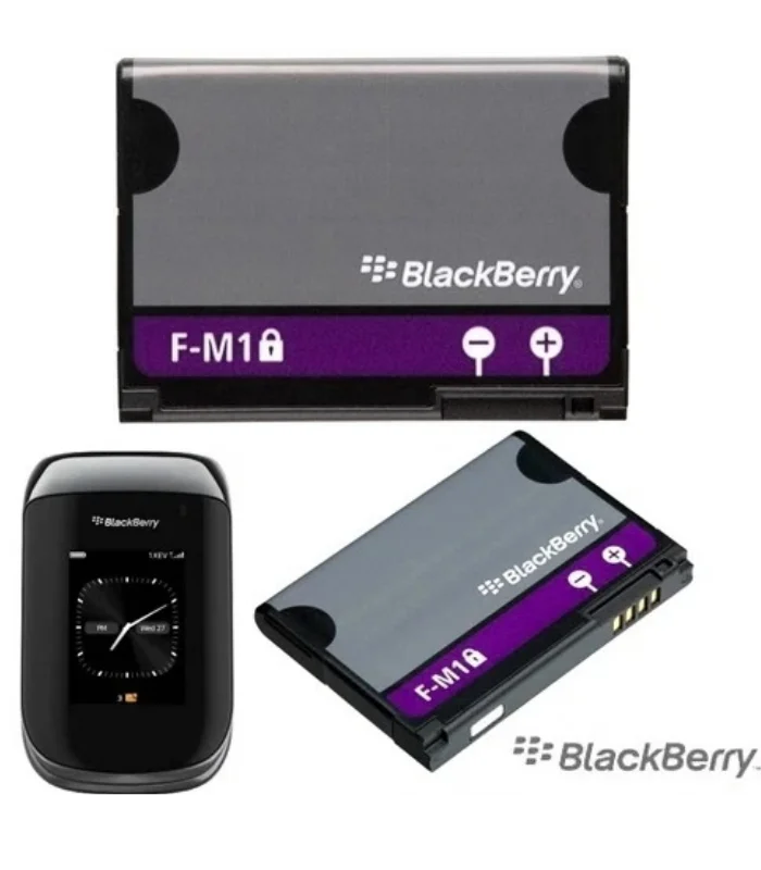 fm1-f-m1-battery-blackberry-9100-9105-9670.jpg